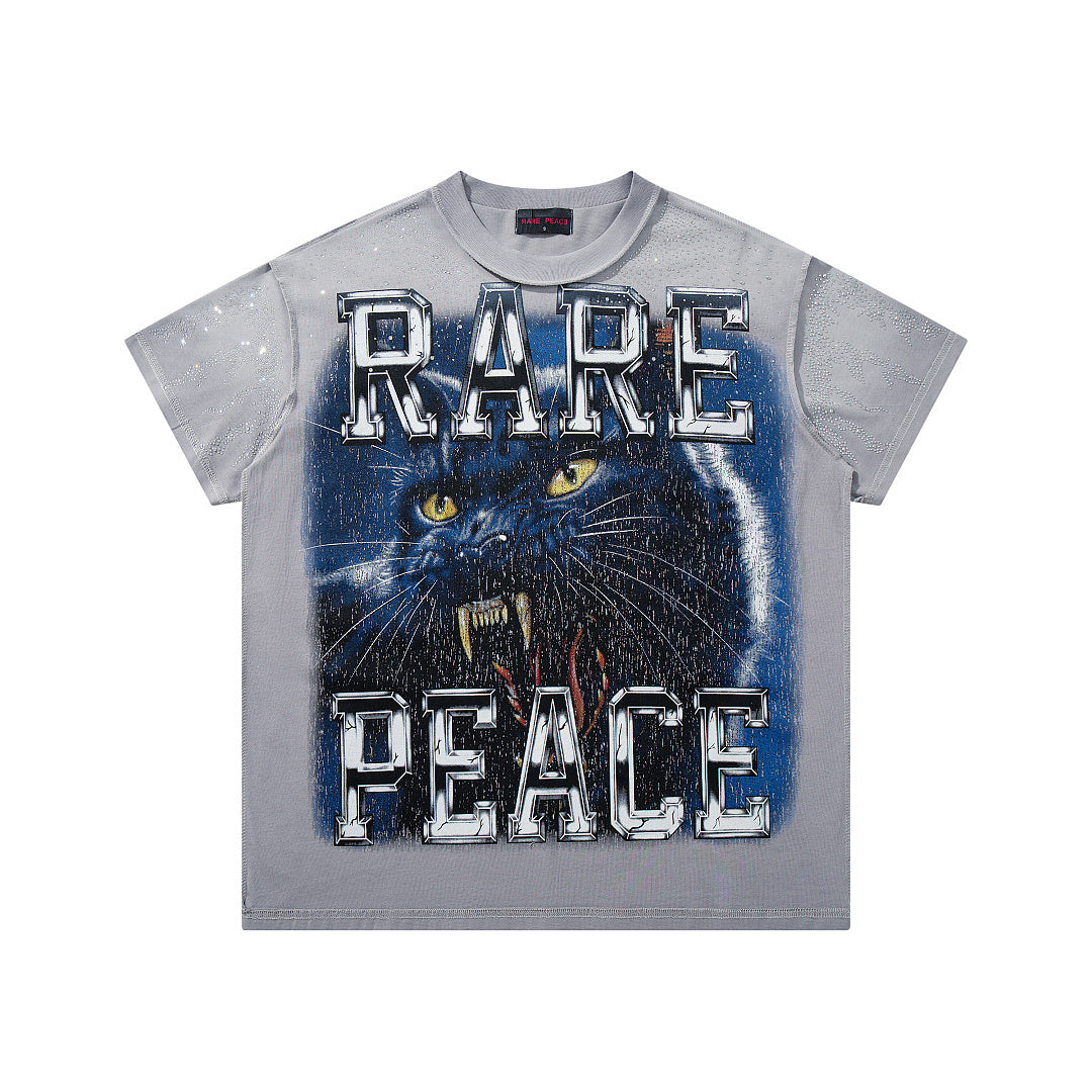 Rare Peace Vintage Horizon Crystal Graphic Relaxed Tee
